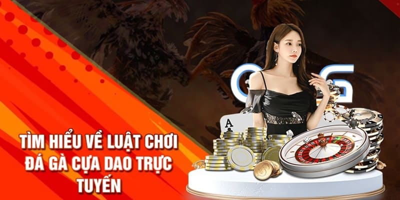 Đá gà cựa dao