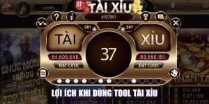 Tool Tài Xỉu